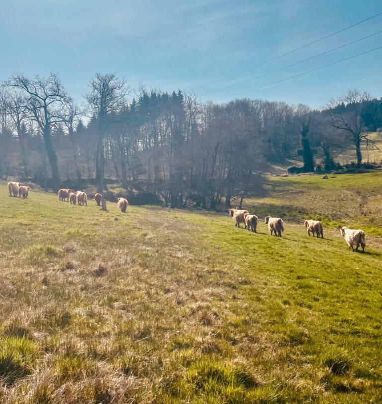 D But Du Printemps Ferme De Vernand